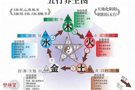 五行水旺缺火